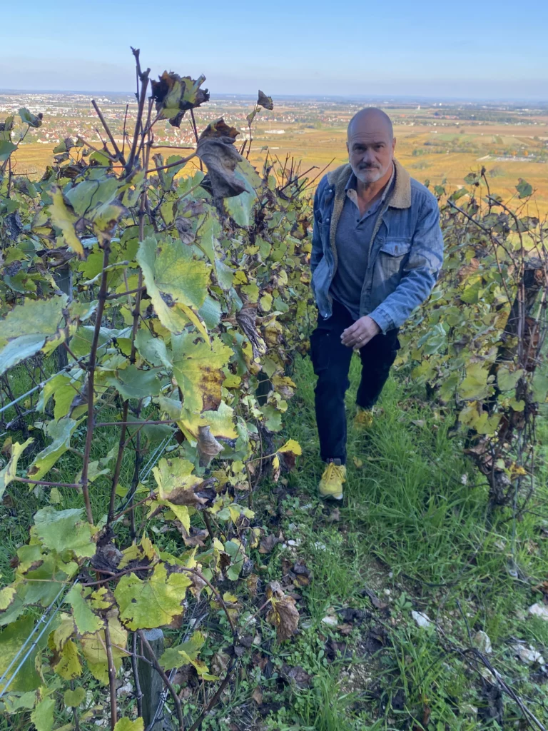 L’écrit vins conseils